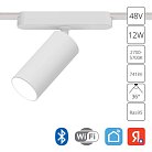 Светильник Потолочный Arte Lamp A2958PL-1WH RAPID