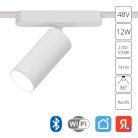 Светильник Потолочный Arte Lamp A2958PL-1WH RAPID