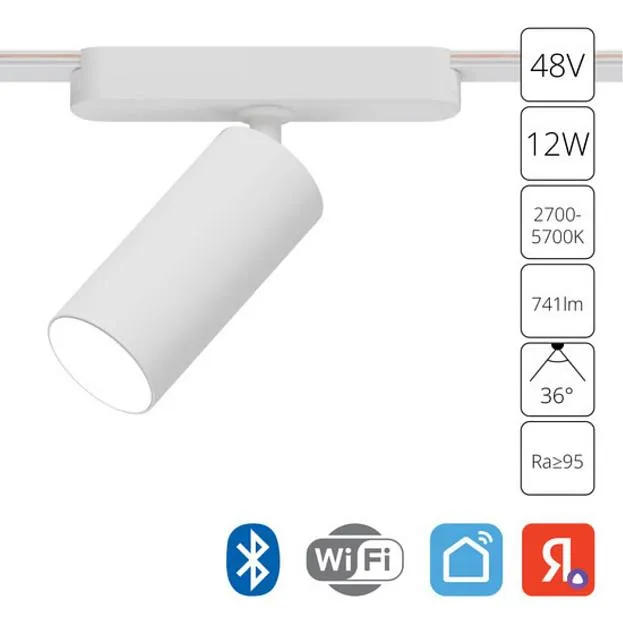 Светильник Потолочный Arte Lamp A2958PL-1WH RAPID