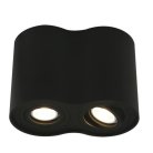 Светильник Потолочный Arte Lamp A5644PL-2BK FALCON