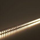 Светодиодная лента Feron 41527 LS502, 180SMD(2835)/м 16Вт/м 24V 5000*10*1.22мм 3000К