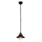 Подвесной светильник Arte Lamp A4577SP-1CK GRAZIOSO