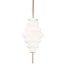 Потолочная люстра L'Arte Luce L90001 Torria