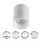 Накладной светильник Denkirs DK3110-WH Plast