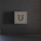 Накладка для розетки с заземлением и защитными шторками, с USB A+A, (капучино) Voltum VLS000914 S70