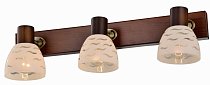 Спот SHAYLA TL3730Y-03BB Toplight, античная бронза, коричневый, E14, 3x40W
