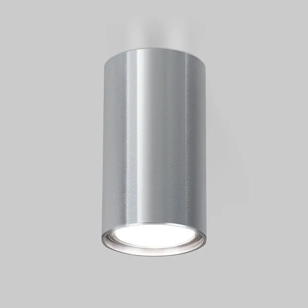 Накладной точечный светильник Elektrostandard 1081 GU10 SCH сатин хром a038491