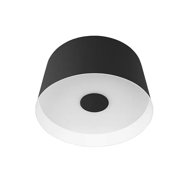 Потолочный светильник Loft IT 10360S Black Duo Потолочный светильник Loft IT 10360S Black Duo