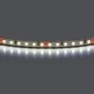 Лента холодного белого свечения 24V Lightstar 420805