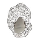 Настенный светильник Odeon light 5460/12WL CORALLA