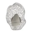 Настенный светильник Odeon light 5460/12WL CORALLA