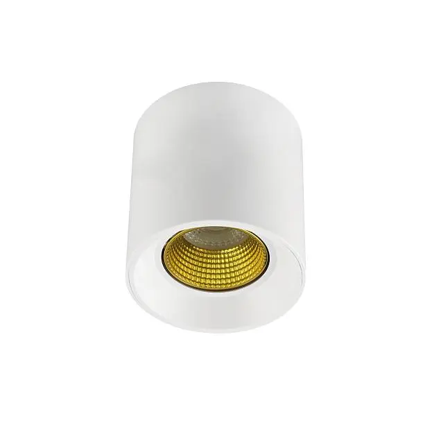 Накладной светильник Denkirs DK3090-WH+YE Накладной светильник Denkirs DK3090-WH+YE