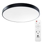 Светильник Потолочный Arte Lamp A2673PL-1BK ARENA