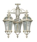 Потолочный светильник уличный Oasis Light 95270LA/3 Gw ROMA L
