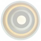 Настенный светильник Escada 10210/1LED Led
