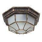 Уличный потолочный светильник Arte Lamp A3121PF-1BN PEGASUS