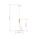 Светильник подвесной Черный/Белый E27 1*40W Evoluce SLE1255-413-01 ARKET