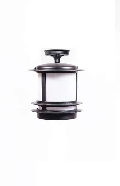 Потолочный светильник уличный Oasis Light 68305A Bl opal TOKIO Потолочный светильник уличный Oasis Light 68305A Bl opal TOKIO