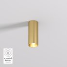 Накладной светильник со светодиодом Denkirs DK2615-SB SHINE TUBE