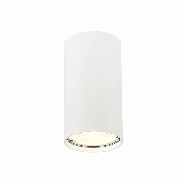 Потолочный светильник ST Luce ST110.507.01