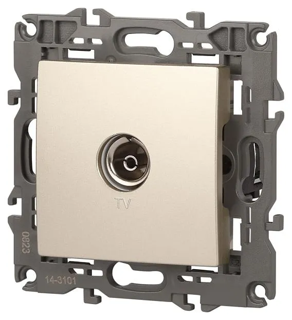 Розетка ЭРА 14-3101-04