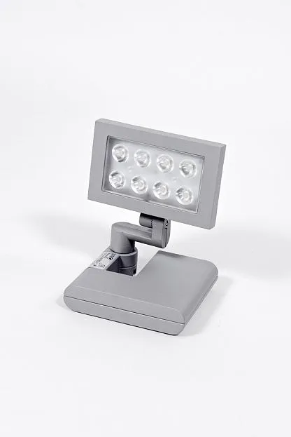 Прожектор уличный Oasis Light W6101S S