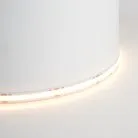 Светодиодная лента Feron 48263 LS530, 320SMD(2110)/м 8Вт/м 24V 5000*8*1.8мм 3000К