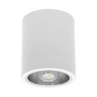 Накладной точечный светильник KANLUX NIKOR DLP-60-W (7210)