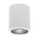 Накладной точечный светильник KANLUX NIKOR DLP-60-W (7210)