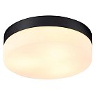 Потолочный светильник Arte Lamp A6047PL-3BK Aqua-tablet