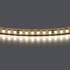 Лента белого свечения 24V Lightstar 420824