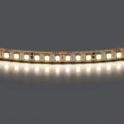Лента белого свечения 24V Lightstar 420824