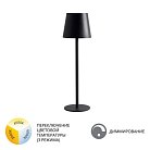 Уличный настольный светильник Arte Lamp A1614LT-1BK FUYUE