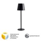 Уличный настольный светильник Arte Lamp A1614LT-1BK FUYUE