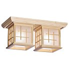 Потолочный светильник VELANTE 592-717-02