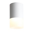 Светильник потолочный ST-Luce ST100.502.05