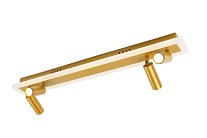 Спот Arte Lamp A2607PL-30GO TOMMY