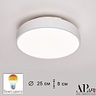 Потолочный светильник APL LED 3315.XM302-1-267/12W/4K White Toscana