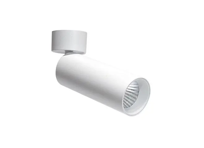 Спот Donolux DL18895R30W1W ST Rollo