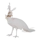 Напольный светильник Seletti 14672 Peacock