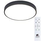 Светильник Потолочный Arte Lamp A2661PL-1BK ARENA