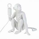 Настольная лампа Evoluce SLE115104-01 Tenato
