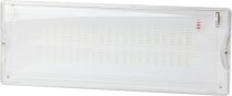 Аварийный светильник ЭРА DPA-301-0-65
