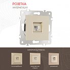 Розетка телефонная RJ11 Arte Milano 203.51-1.shampan am