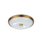 Настенно-потолочный светильник ODEON LIGHT 4956/4 PELOW
