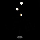 Торшер EVOLUCE SLE220405-03 FORLI