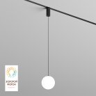 Светильник на шине Denkirs DK8052-BK SMART GRILL