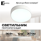 Потолочный светильник Zortes ZRS.02564.36 TORTTY