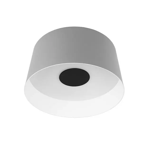 Потолочный светильник Loft IT 10360M Grey Duo Потолочный светильник Loft IT 10360M Grey Duo