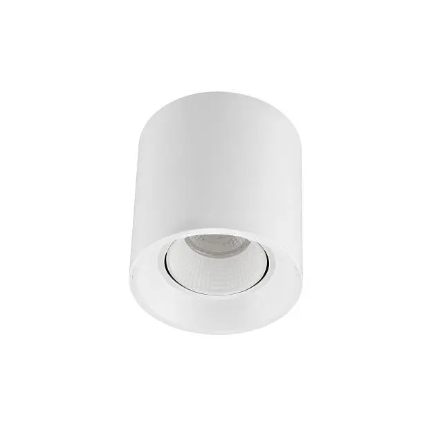 Накладной светильник Denkirs DK3090-WH DK3020WW Rodvig Накладной светильник Denkirs DK3090-WH DK3020WW Rodvig